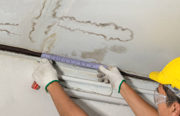 Reliable Mold Remediation contractor in New Albany, MS by Water Damage Irwin